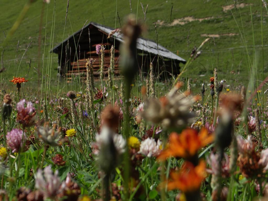 Hotel Silvretta Serfaus Luaran gambar