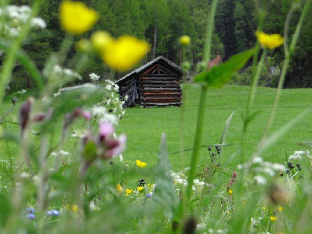 Hotel Silvretta Serfaus Luaran gambar